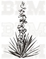 /album/kvety-stromy/kvety-5-jpg/